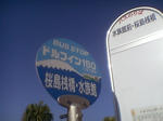6580023_2855065732.jpg