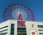 6580023_4104512314.jpg