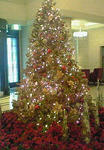 20071223_220329.jpg