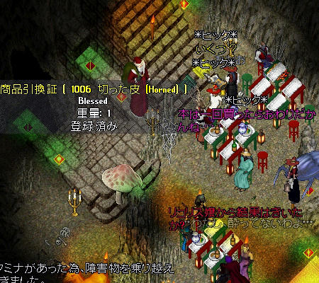 2012皮