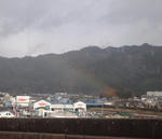 1f029355.jpg