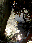 CIMG1634.gif