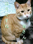 PAP_0003.JPG