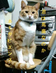 PAP_0004.JPG