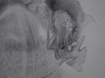 P9241412.JPG