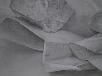 P9241425.JPG