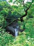 温泉