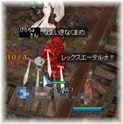 なまくまめ