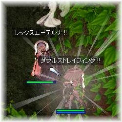 >>-(･(ｪ)･ )→ｻｸｯ