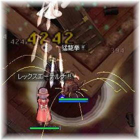 猫眼猛龍