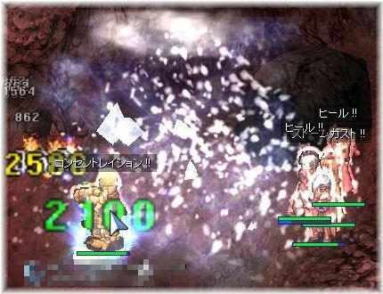 初トール狩り