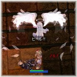 まだまだがんばる