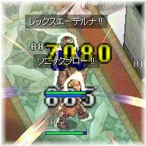 金柑SB