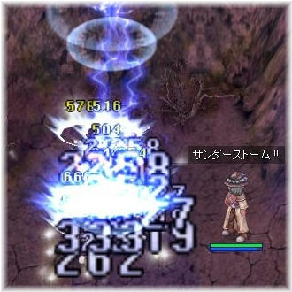 ビン収穫祭