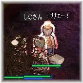 ｻﾅｴｰ