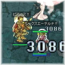 きんきんの騎士団