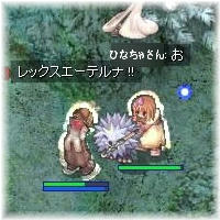 ちゃぃとシロマ