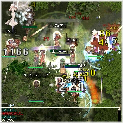 205回ノビ集会1次会２