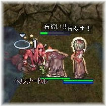 ぽちには怒りを
