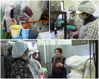 koike20101209.jpg
