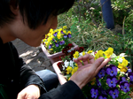 お花