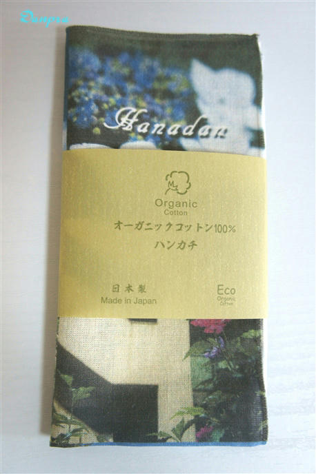 dk01_package_resized.jpg