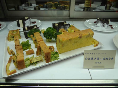 13_danchi_plate_model.jpg