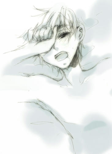 aph26.jpg