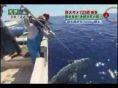  衝撃　動画　無料　サメ　shark 