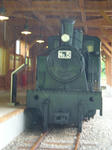 P1000726.jpg