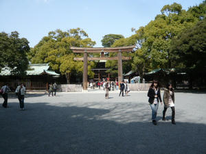 P1100015.JPG