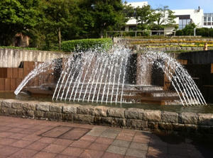 IMG_1568.jpg