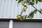 2010.10.24.07.gif