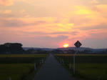 夕暮れ