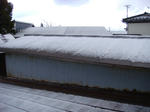 今年最初の雪の華