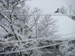 Winter Again