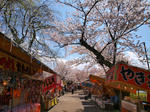 鶴岡公園