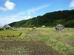農村エリア