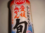 今しか飲めない