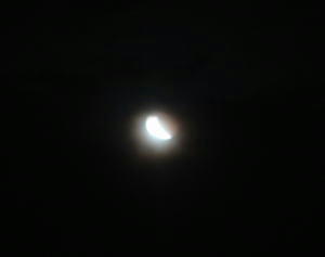 DSC00014.JPG
