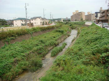DSC00154-1.JPG