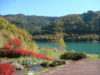 DSC00341-1.JPG