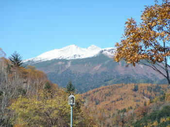 DSC00352-1.JPG