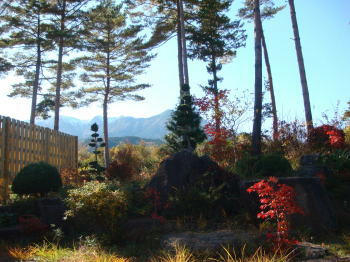 DSC00363-1.JPG