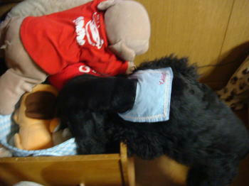 DSC00376.JPG