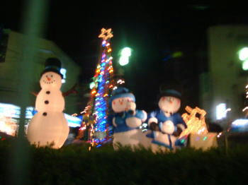 DSC00568-1.JPG