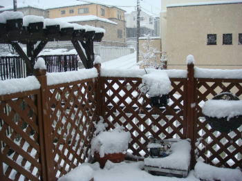 DSC00769-1.JPG