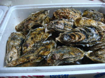 DSC00792.JPG