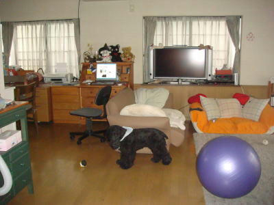 DSC01095.JPG