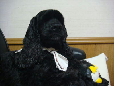 DSC01208.JPG